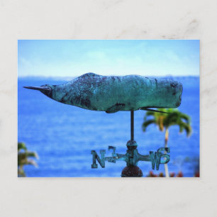 Humpback Whale Weather Vane Postcard
