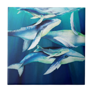 Humpback Whales Ceramic Tile