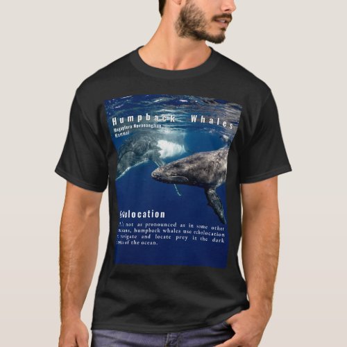 Humpback Whales Echolocation Whale Fun Fact  T_Shirt