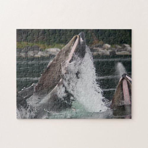 humpback whales jigsaw puzzle