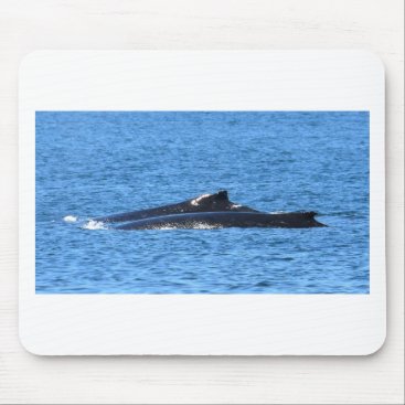 HUMPBACK WHALES MACKAY QUEENSLAND AUSTRALIA MOUSE PAD HUMPBACK WHALES MACKAY QUEENSLAND AUSTRALIA MOUSE PAD