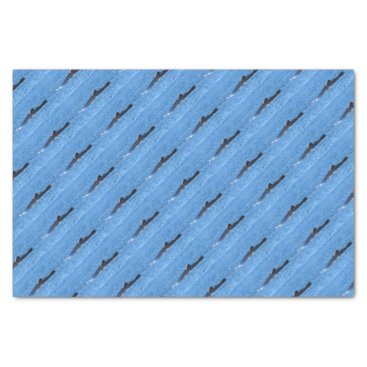 HUMPBACK WHALES MACKAY QUEENSLAND AUSTRALIA TISSUE PAPER HUMPBACK WHALES MACKAY QUEENSLAND AUSTRALIA TISSUE PAPER