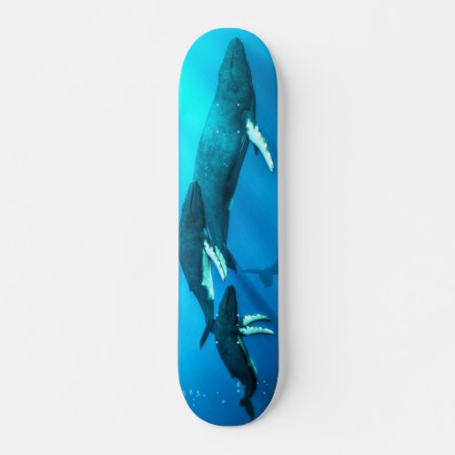 Humpback Whales Skateboard Deck