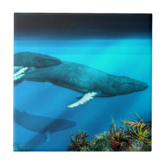 Humpback Whales Tile