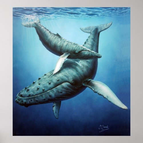 Humpbacks Serenity Mother  Calf _Canvas print