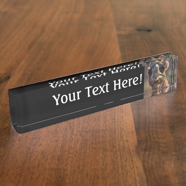 HumpDay Camel Feasting on Green Grass Personalized Desk Name Plate (Side)