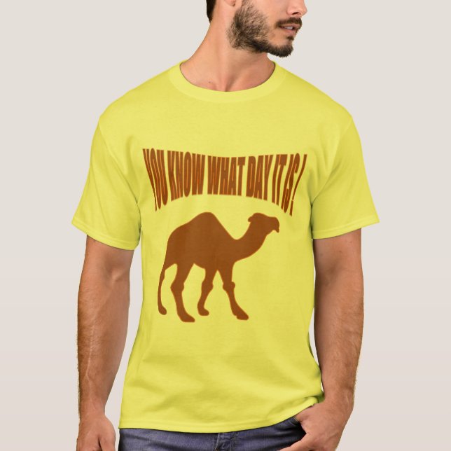 humpday Hump day with a twist T-Shirt (Front)