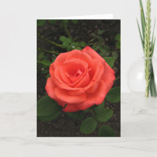 Hungarian-Boldog születésnapot-reddish rose Card