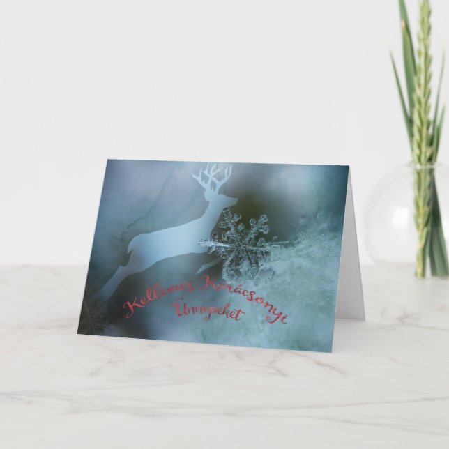 Hungarian Christmas Greetings with Winter Motif Holiday Card (Front)