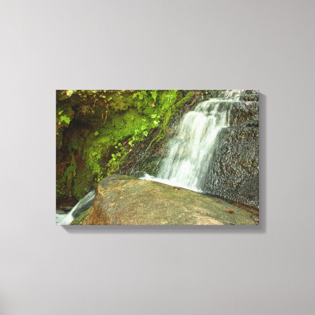 Hungarian Falls Mossy Forest Cascade Canvas Print (Front)