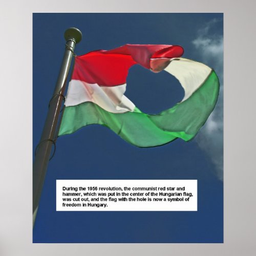 Hungarian Flag of the Revolution Poster