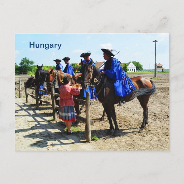 Hungarian horse riders Hungary Postcard (Front)