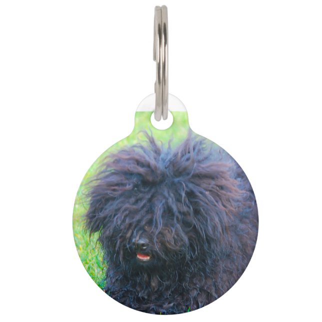 Hungarian Puli Dog. Pet ID Tag (Front)