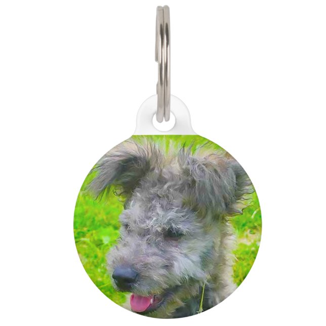 Hungarian Pumi Dog. Pet ID Tag (Front)