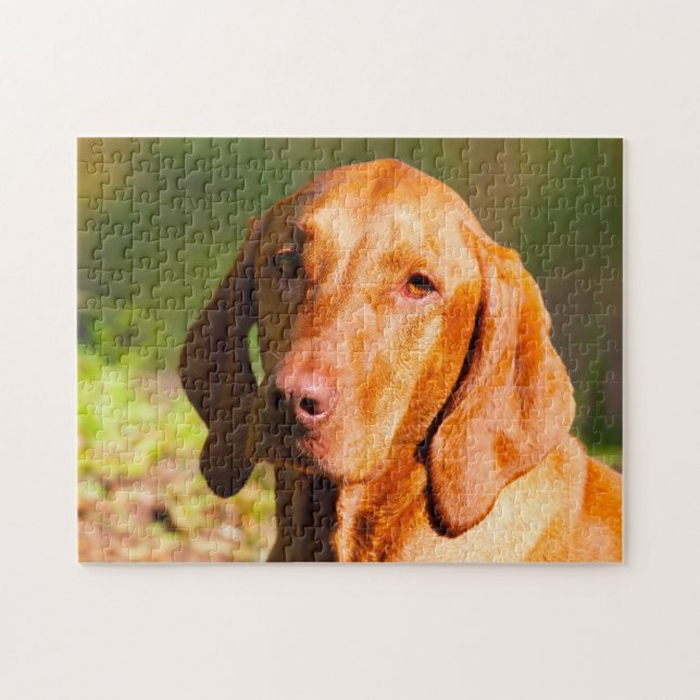 Hungarian Vizla Dog Jigsaws. Jigsaw Puzzle (Horizontal)