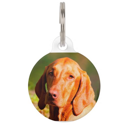 Hungarian Vizla Pet ID Tag