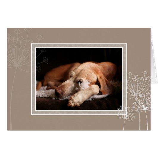 Hungarian Vizsla Blank Card 004 (Front Horizontal)