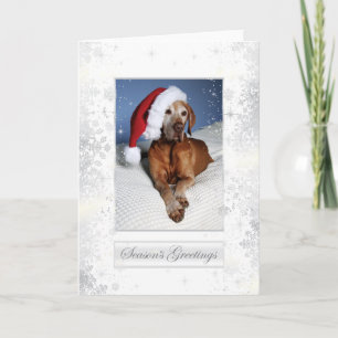 Hungarian Vizsla Christmas Card 007