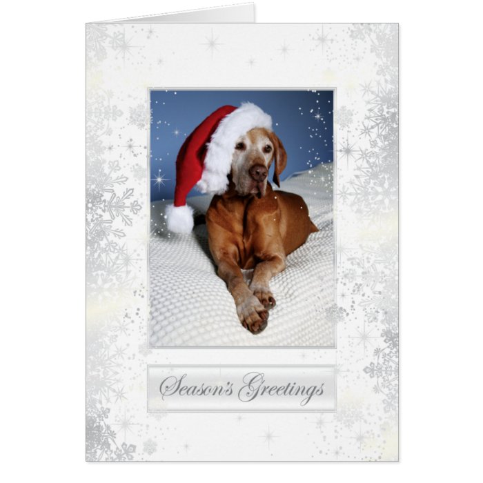 Hungarian Vizsla Christmas Card 007