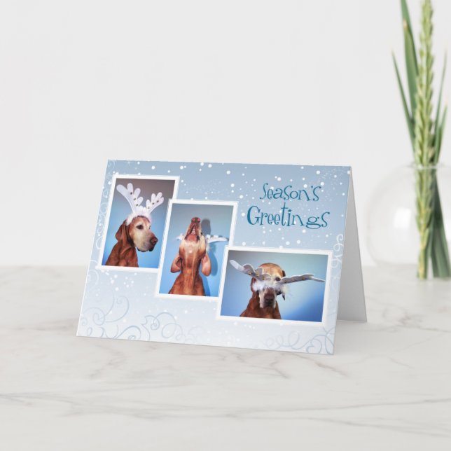 Hungarian Vizsla Christmas Card 011 (Front)