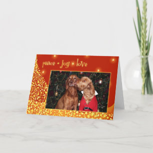 Hungarian Vizsla Christmas Card 012