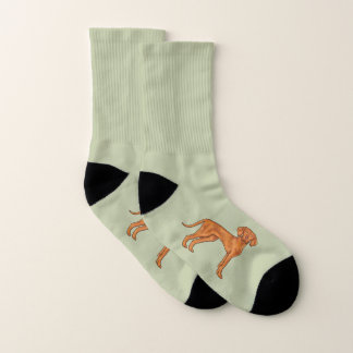 Hungarian Vizsla Cute Cartoon Pointer Dog On Green Socks