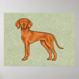 Hungarian Vizsla Cute Pointer Dog Drawing Green Poster