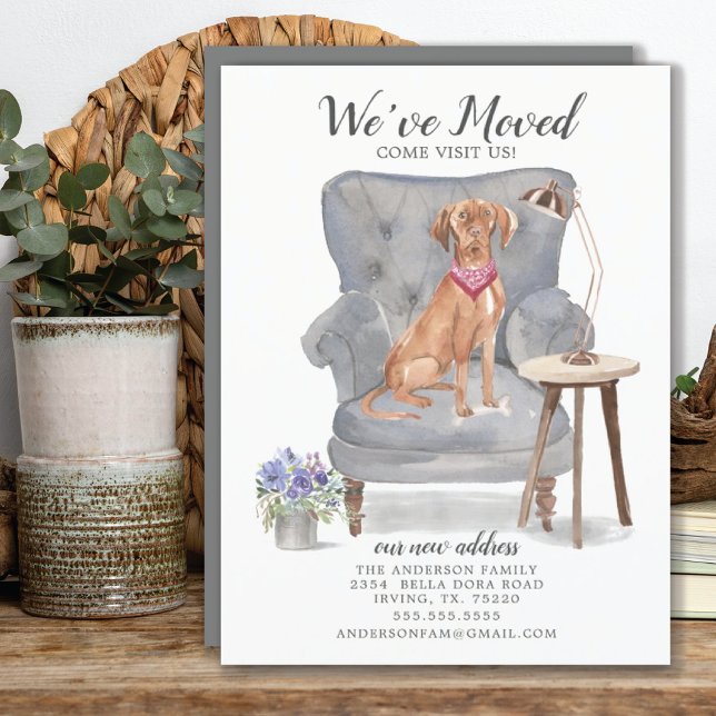 Hungarian Vizsla Dog | Moving Announcement (Creator Uploaded)