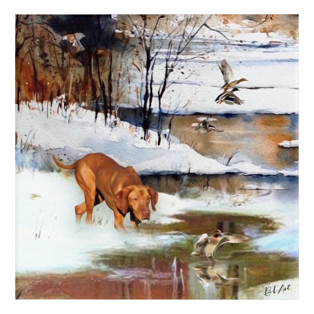 Hungarian Vizsla, hunting ducks in winter   Acrylic Print (Front)