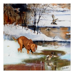 Hungarian Vizsla, hunting ducks in winter  Poster
