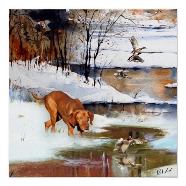 Hungarian Vizsla, hunting ducks in winter  Poster (Front)