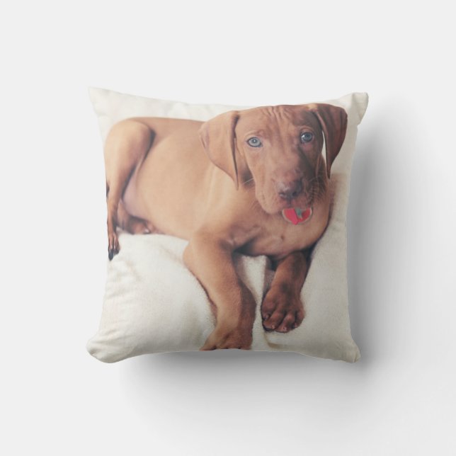 Hungarian Vizsla Puppy Throw Pillow (Front)