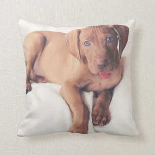 Hungarian Vizsla Puppy Throw Pillow