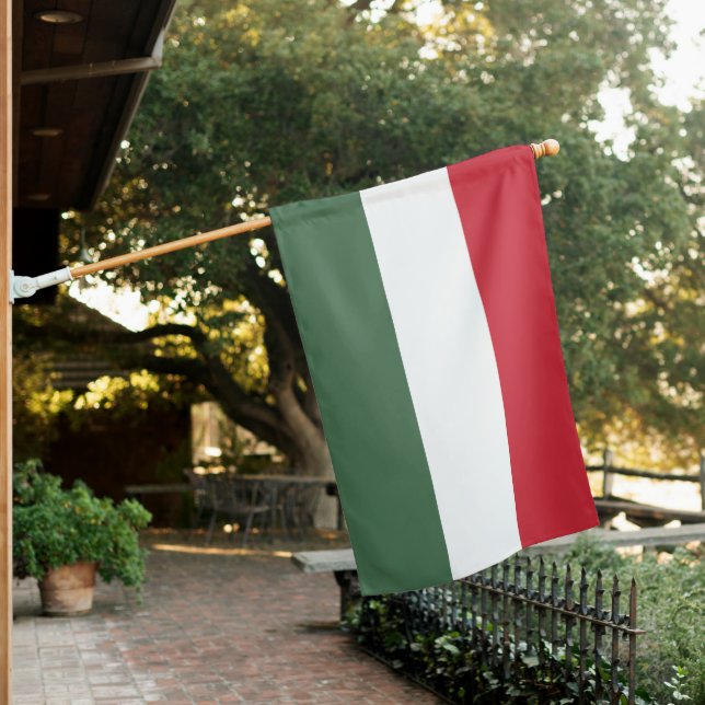 Hungary Flag (In SItu)