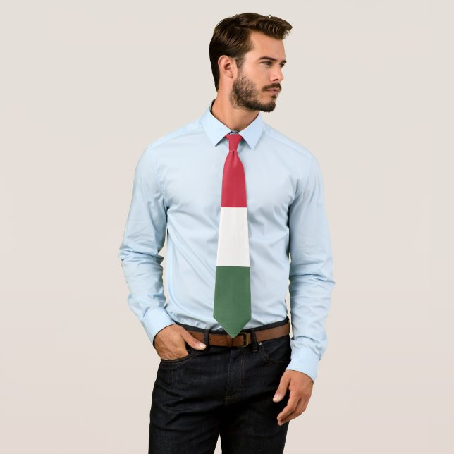 Hungary flag neck tie (In Situ)