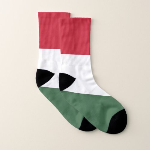 Hungary Flag Socks