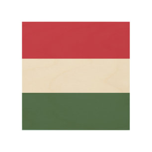 Hungary flag wood wall art