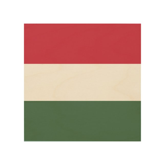 Hungary flag wood wall art (Front)