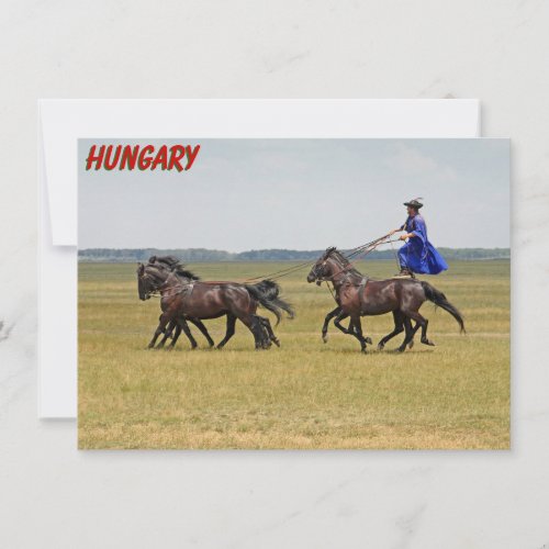 Hungary horseman and horses Card