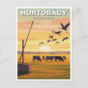 Hungary Hortobagy National Park Travel Postcard