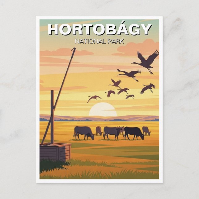 Hungary Hortobagy National Park Travel Postcard (Front)