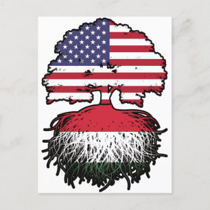 Hungary Hungarian American USA United States Postcard