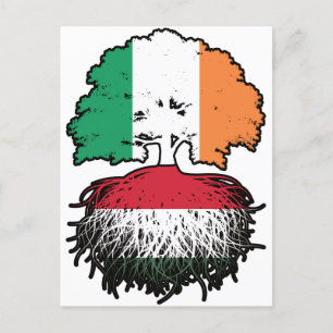 Hungary Hungarian Irish Ireland Tree Roots Flag Postcard