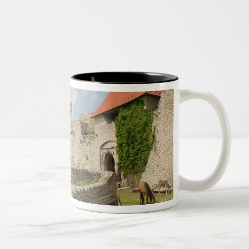 HUNGARY Lake Balaton Region SUMEG Sumeg Two_Tone Coffee Mug