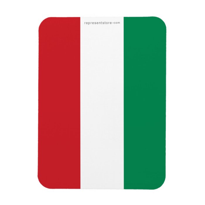 Hungary Plain Flag Rectangle Magnets