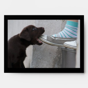 Hungry Brown Labrador Puppy Envelope