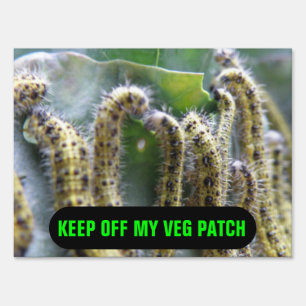 Hungry Cabbage White Caterpillars Custom Sign