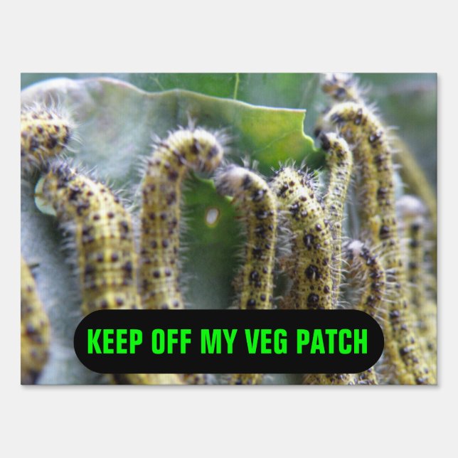Hungry Cabbage White Caterpillars Custom Sign (Front)
