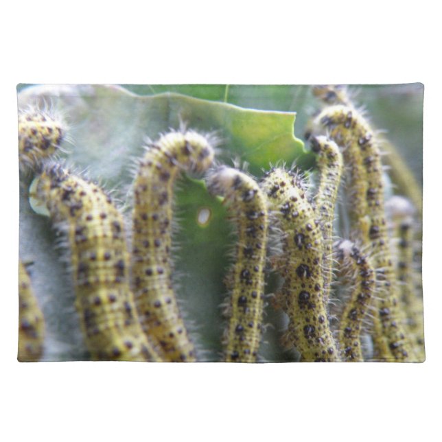 Hungry Cabbage White Caterpillars Placemat (Front)