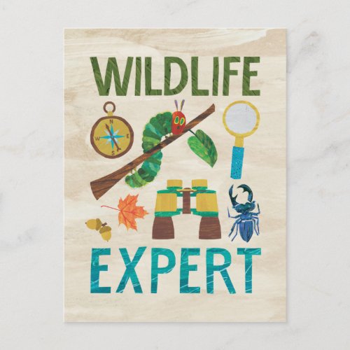 Hungry Caterpillar  Wildlife Expert Postcard